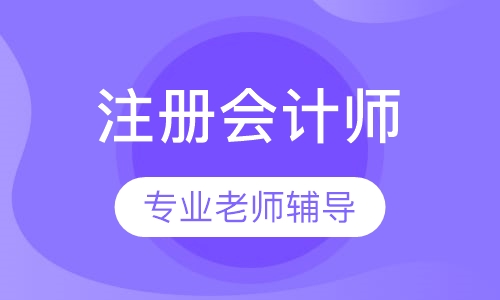 注册会计师习题精讲班