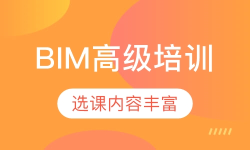 BIM高级培训