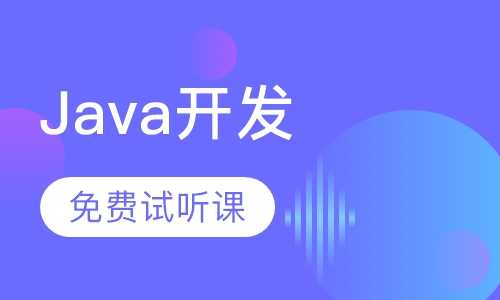 初级Java软件工程师