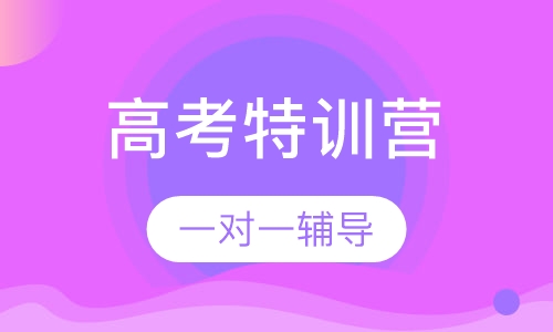2020中高考特训营