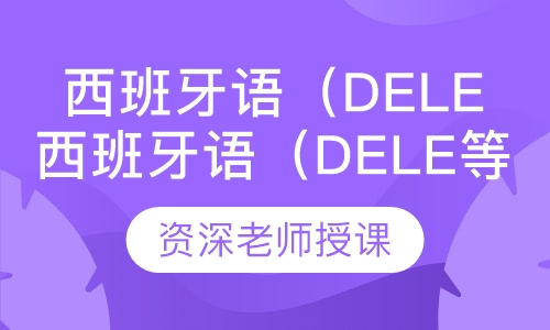 西班牙语（dele等）考试一对一辅导