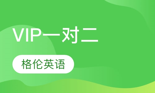 VIP一对二