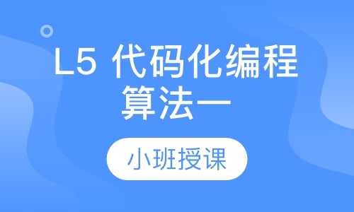 L5 代码化编程算法一