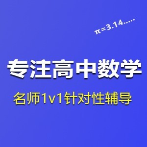 成都1v1高中数学