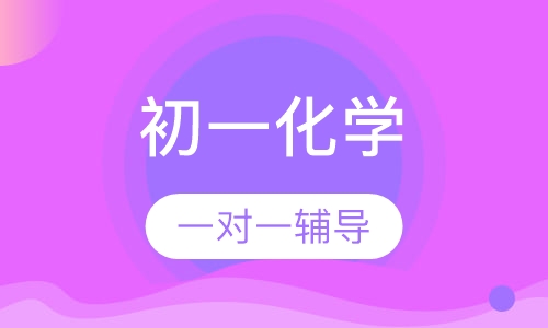 初一化学一对一辅导