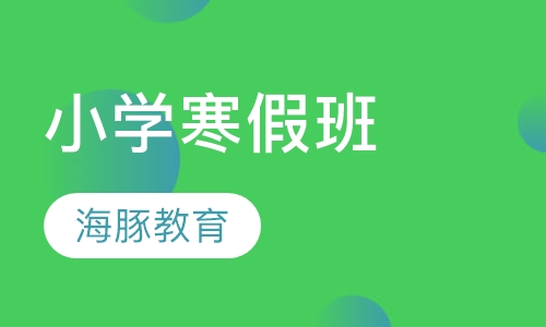 小学寒假班