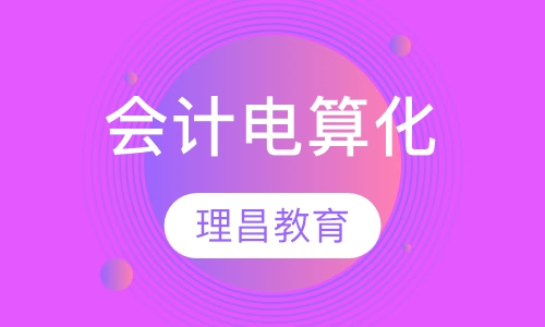 会计电算化
