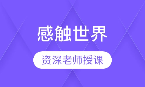 感触世界