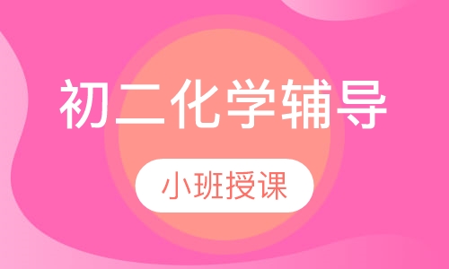 初二化学辅导