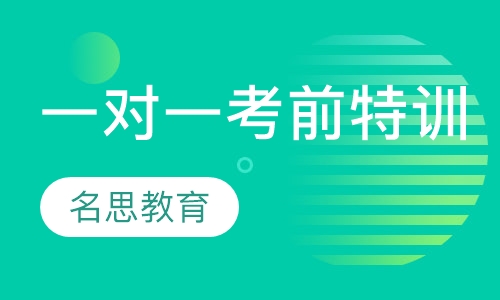一对一艺体生考前强化特特训