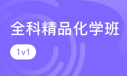 全科精品化学班