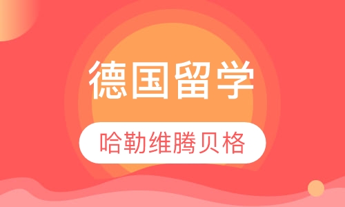 哈勒－维腾贝格大学