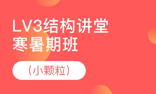 LV3结构讲堂（小颗粒）寒暑期班