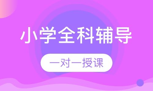 小学一对一全科辅导