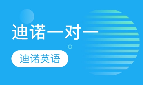迪诺一对一精品班