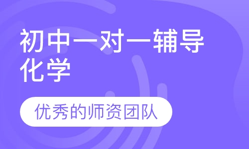 初中一对一辅导化学