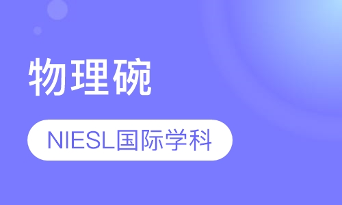 录播课+直播课物理碗