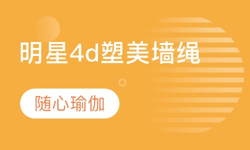 明星4d塑美墙绳