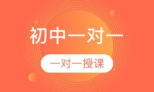 初中一对一