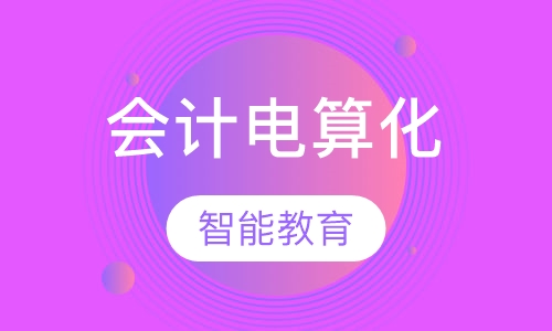 会计电算化