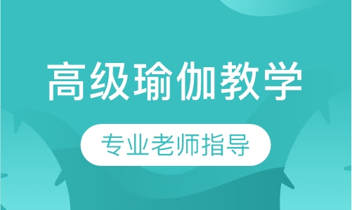 高级瑜伽教学