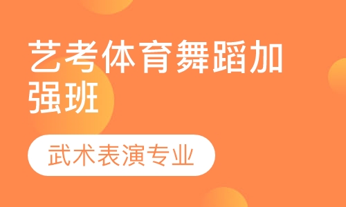高考艺考武术表演