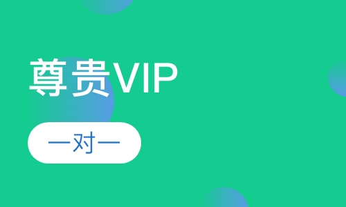 尊贵VIP一对一