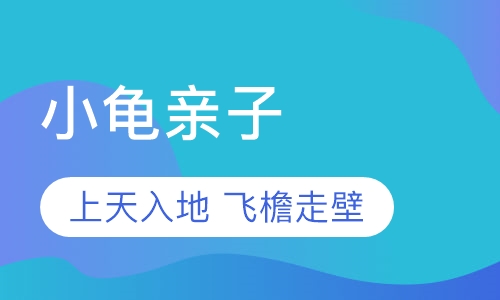 小龟带你上天入地，飞檐走壁