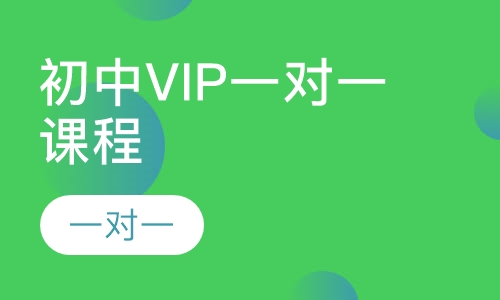 初中VIP一对一课程