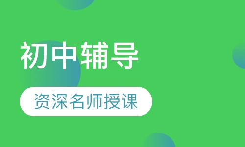 初中辅导