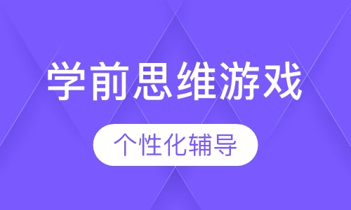 学前思维游戏班