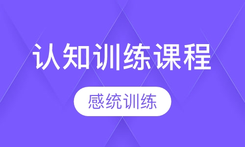 认知训练课程