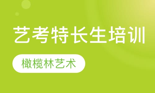 艺考特长生培训