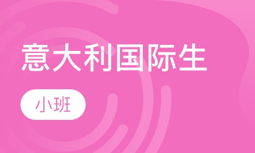 意大利国际生