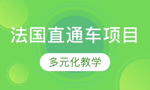 法国公立美院直通车项目