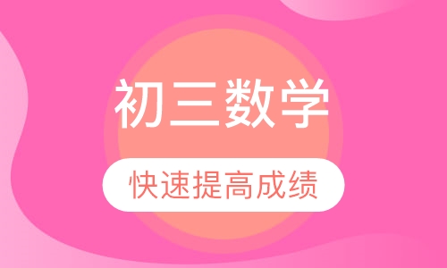 初三数学保分小班