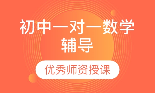 初中一对一数学辅导