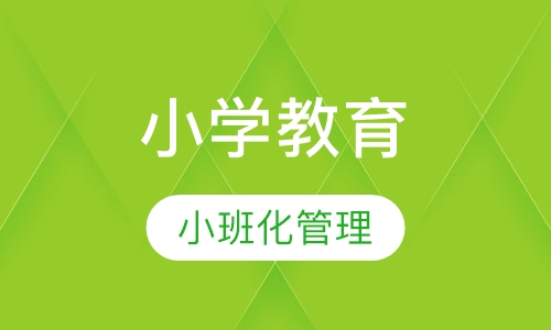 成人高考小学教育