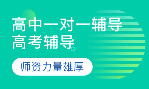 高中一对一辅导高考辅导
