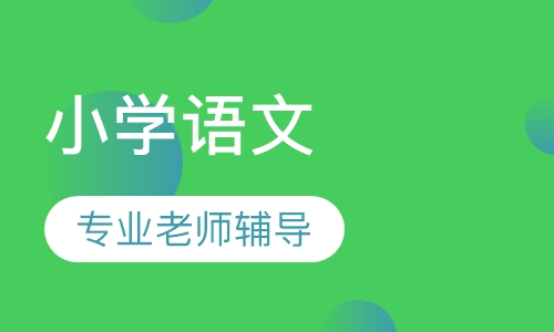 小学语文一对一辅导