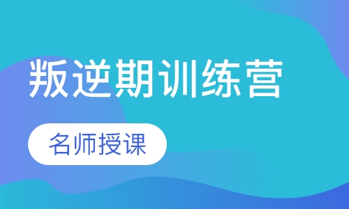 叛逆期训练营
