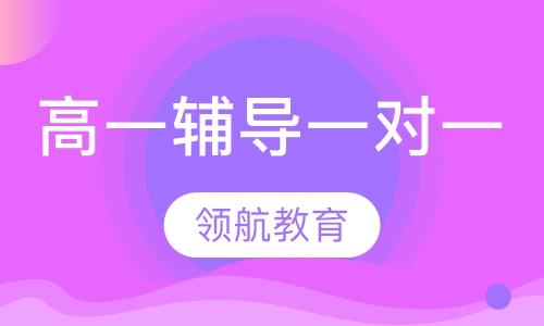 高一辅导一对一