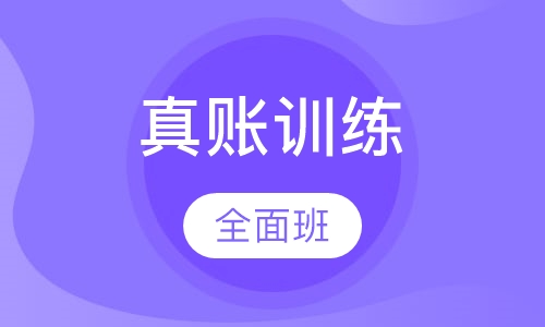 真账训练全面班