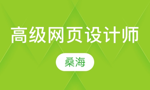 国际注册高级网页设计师
