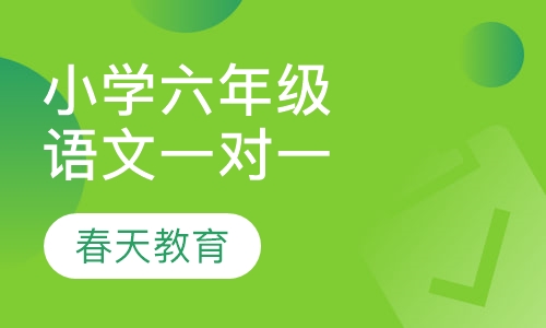 小学六年级语文一对一辅导课程