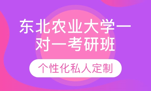 直播课东北农业大学一对一考研辅导班