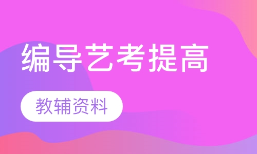 编导艺考提高班