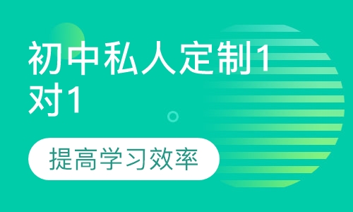 初中私人定制1对1