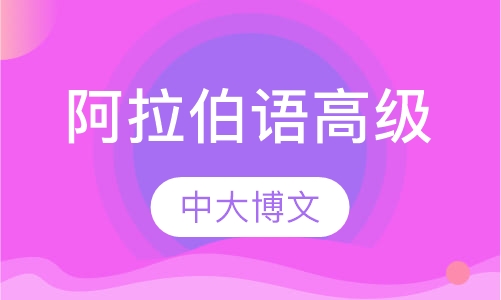阿拉伯语高级