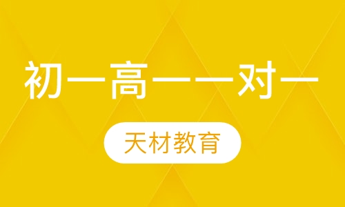初一/高一一对一辅导